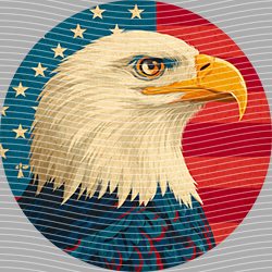 USA-MG 3877
